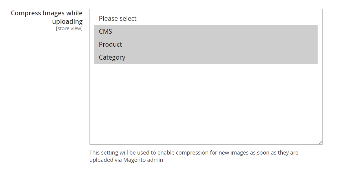 Image optimizer enable pages